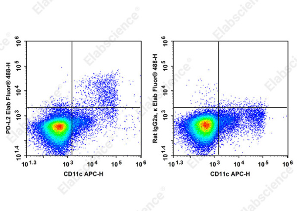 Elab Fluor® 488 Anti-Mouse PD-L2 Antibody[TY25] (AN00849L)