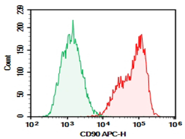 Purified Anti-Human CD90 Antibody[5E10] (E-AB-F11670P)