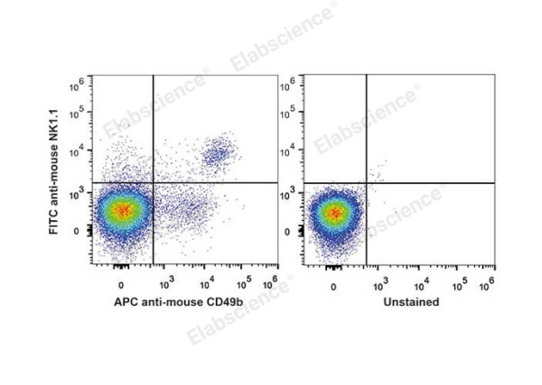 FITC Anti-Mouse CD161/NK1.1 Antibody[PK136] (E-AB-F0987UC)