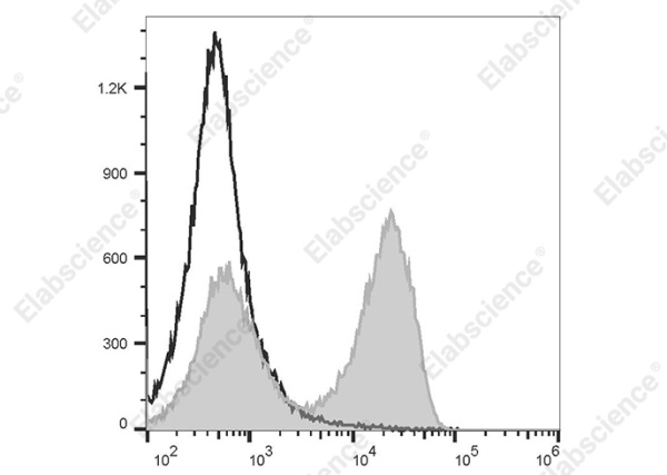 FITC Goat Anti-Rat IgG (H+L) Antibody[Poly1441] (AN00339C)