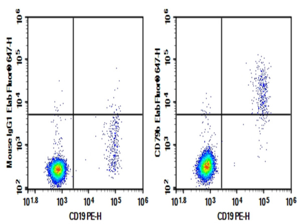 Purified Anti-Human CD79B Antibody[CB3-1] (AN004810P)
