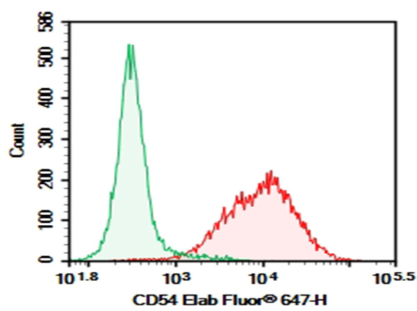 Purified Anti-Mouse CD54 Antibody[YN1/1.7.4] (E-AB-F1018A)