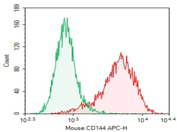 Purified Anti-Mouse CD144 Antibody[BV13] (AN010330P)