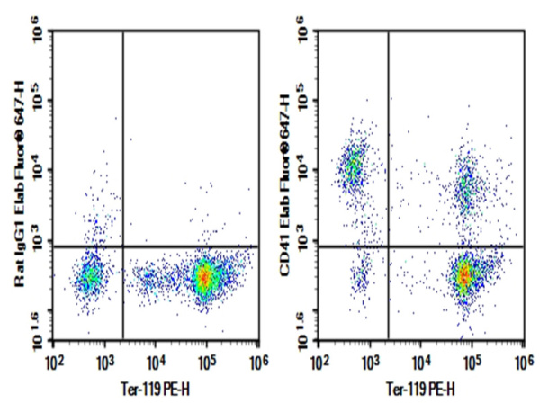 AF/LE Purified Anti-Mouse CD41 Antibody[MWReg30] (E-AB-F11830)