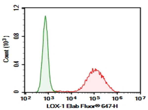 Purified Anti-Human LOX-1 Antibody[15C4] (AN006280P)