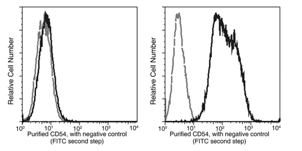 ICAM-1/CD54 Monoclonal Antibody (AN200003P)