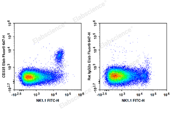Elab Fluor® 647 Anti-Mouse CD335/NKp46 Antibody[29A1.4] (E-AB-F1182M)