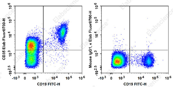 Elab Fluor® 700 Anti-Human CD35 Antibody[E11] (E-AB-F1062M1)