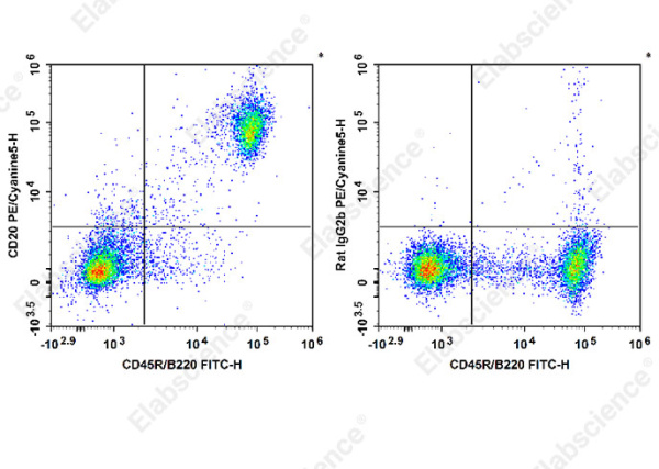 PE/Cyanine5 Anti-Mouse CD20 Antibody[SA271G2] (E-AB-F1403G)