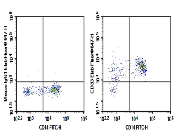 Purified Anti-Human CD33 Antibody[P67.6] (AN003330P)