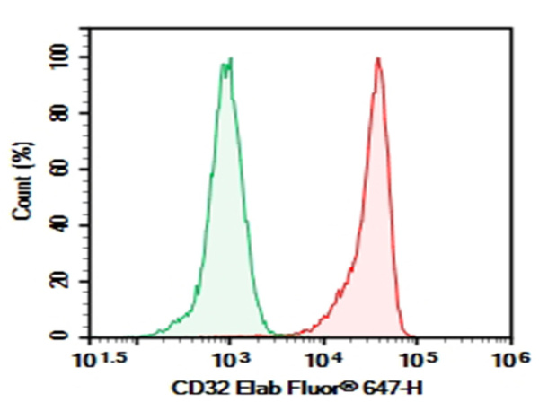 Purified Anti-Human CD32 Antibody[AT10] (AN007560P)