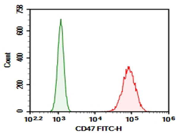 Purified Anti-Human CD47 Antibody[B6H12] (E-AB-F14130P)