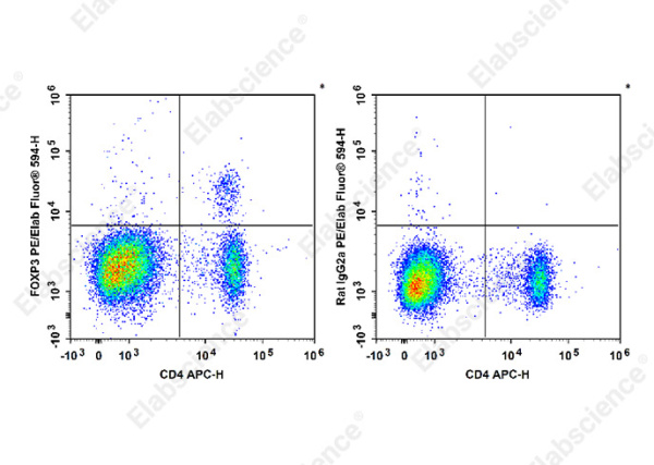 PE/Elab Fluor® 594 Anti-Mouse/Rat Foxp3 Antibody[FJK-16s] (E-AB-F1351UP)