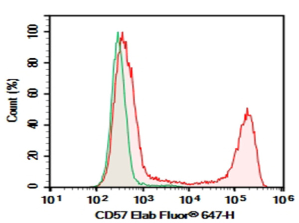Purified Anti-Human CD57 Antibody[HNK-1] (E-AB-F1067A)