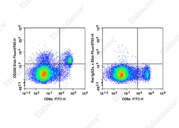 Elab Fluor® 700 Anti-Mouse CD226 Antibody[480.1] (E-AB-F1419M1)