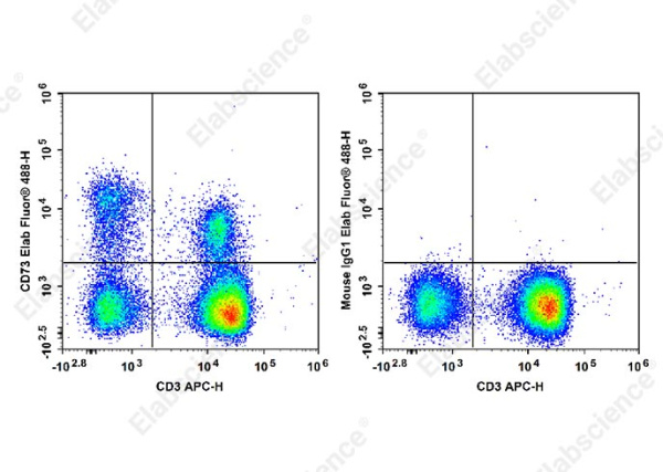 Elab Fluor® 488 Anti-Human CD73 Antibody[AD2] (E-AB-F1242L)