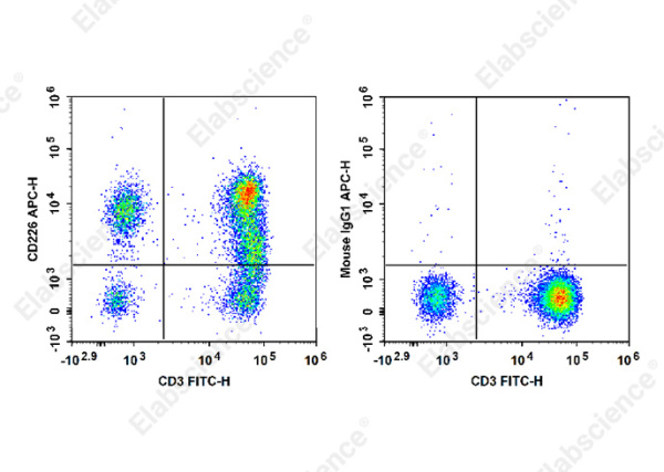 APC Anti-Human CD226/DNAM-1 Antibody[11A8] (E-AB-F1369E)