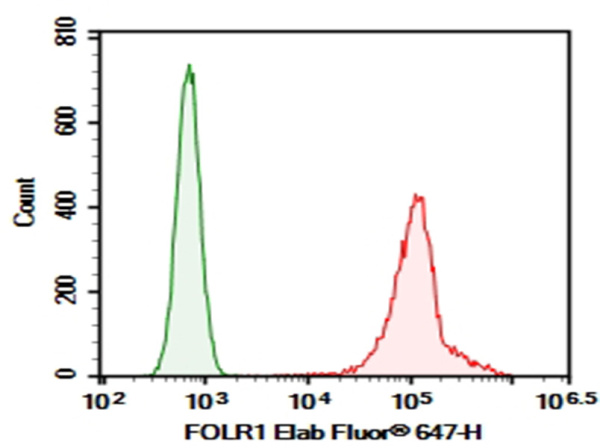 Purified Anti-Human FOLR1 Antibody[LK26] (AN004830P)