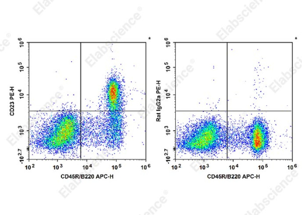 PE Anti-Mouse CD23 Antibody[B3B4] (E-AB-F1178D)