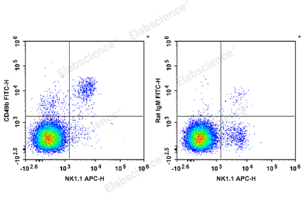 FITC Anti-Mouse CD49b/pan-NK cells Antibody[DX5] (E-AB-F1116C)
