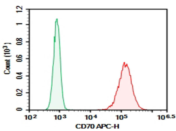 Purified Anti-Human CD70 Antibody[113-16] (AN004240P)