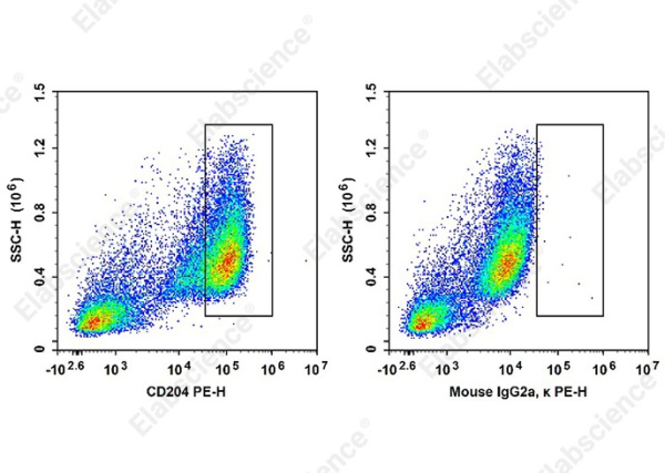 PE Anti-Human CD204 Antibody[7C9C20] (AN00876D)
