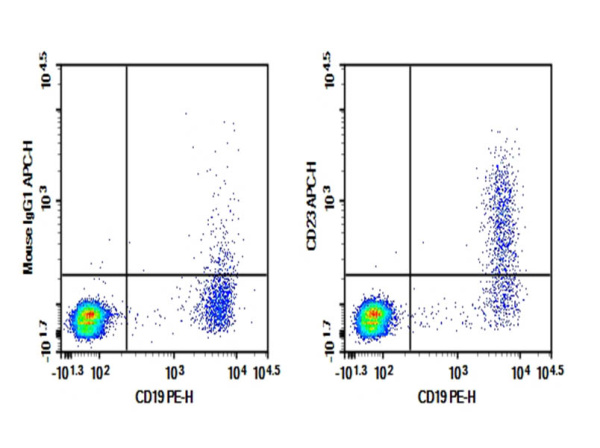 Purified Anti-Human CD23 Antibody[EBVCS2] (E-AB-F1382A)
