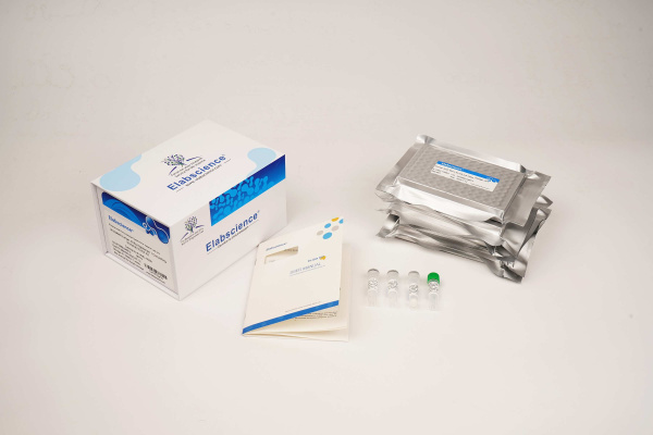Uncoated Human ApoD (Apolipoprotein D) ELISA Kit (E-UNEL-H0365)