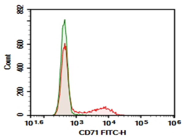 Purified Anti-Rat CD71 Antibody[OX-26] (AN006220P)