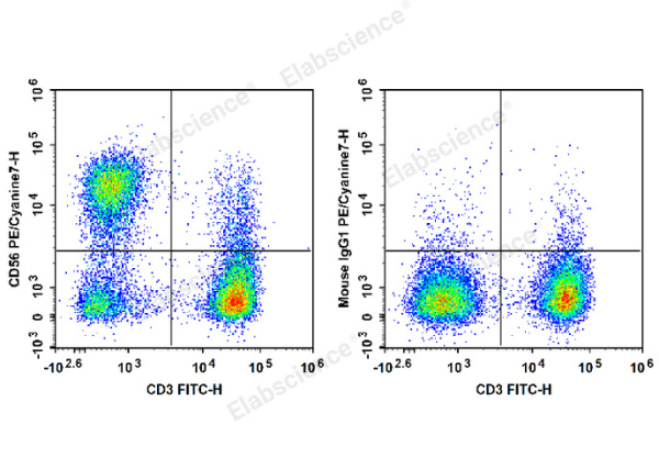 PE/Cyanine7 Anti-Human/Monkey CD56/NCAM Antibody[B-A19] (E-AB-F1305H)