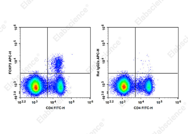 APC Anti-Mouse/Rat Foxp3 Antibody[FJK-16s] (E-AB-F1351UE)