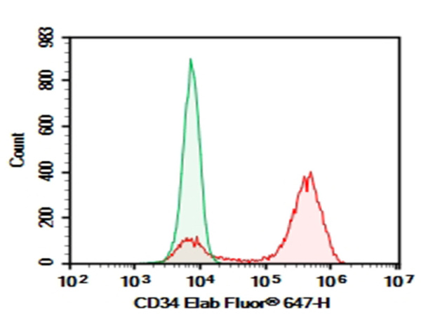 Purified Anti-Human CD34 Antibody[QBEnd-10] (AN007770P)