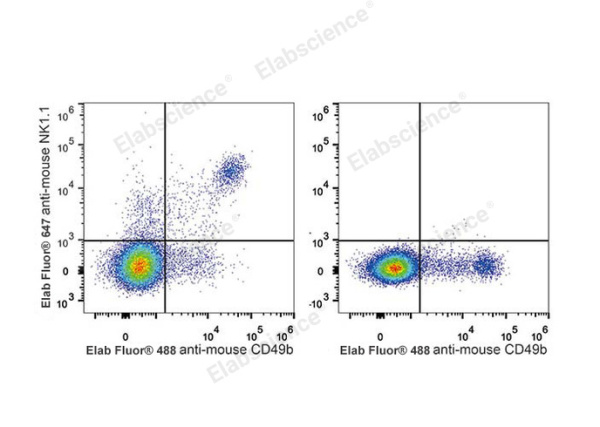 Elab Fluor® 647 Anti-Mouse CD161/NK1.1 Antibody[PK136] (E-AB-F0987M)
