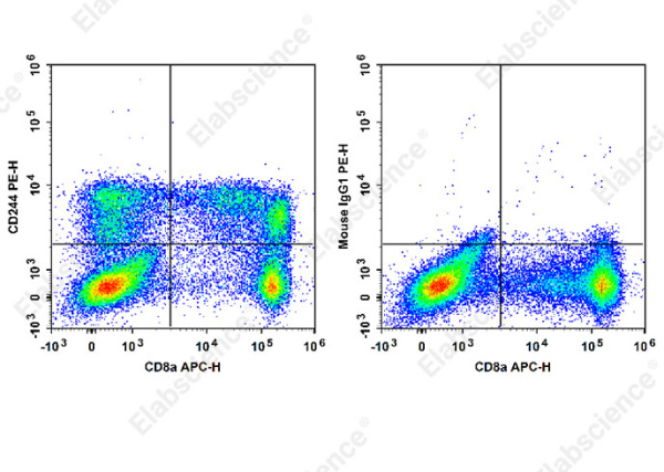 PE Anti-Human CD244 Antibody[C1.7] (E-AB-F1374D)