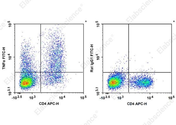 FITC Anti-Mouse TNFα Antibody[XT3.11] (AN00567C)