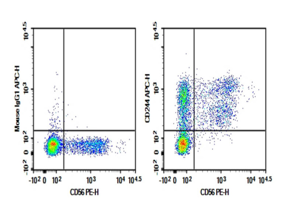 Purified Anti-Human CD244 Antibody[C1.7] (E-AB-F1374A)