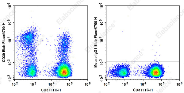 Elab Fluor® 700 Anti-Human CD39 Antibody[A1] (E-AB-F1165M1)