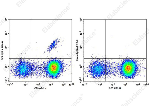 FITC Anti-Human TCR Vβ7.1 Antibody[ZOE5.1] (AN00370C)