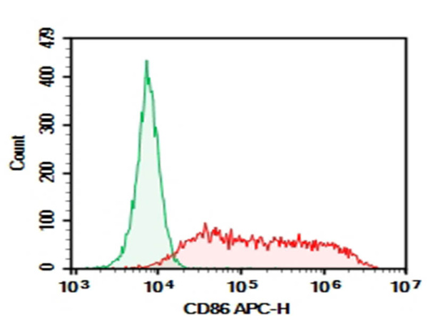 Purified Anti-Mouse CD86 Antibody[GL-1] (E-AB-F0994A)