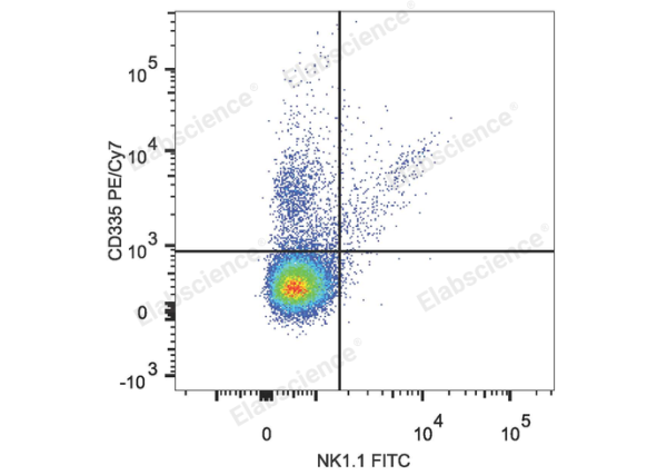 PE/Cyanine7 Anti-Mouse CD335/NKp46 Antibody[29A1.4] (E-AB-F1182H)