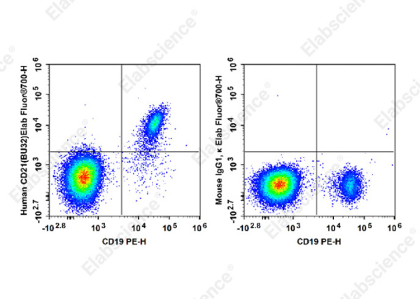 Elab Fluor® 700 Anti-Human CD21 Antibody[BU32] (E-AB-F1046M1)