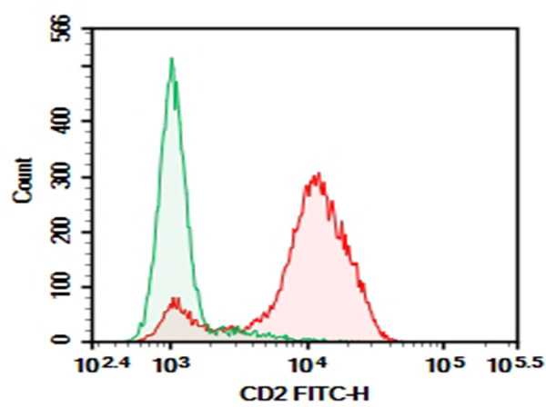 Purified Anti-Human CD2 Antibody[RPA-2.10] (E-AB-F13750P)