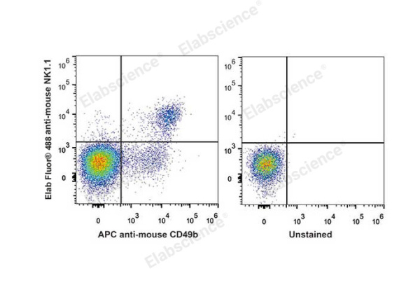 Elab Fluor® 488 Anti-Mouse CD161/NK1.1 Antibody[PK136] (E-AB-F0987UL)