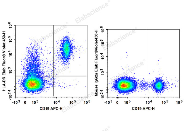 Elab Fluor® Violet 450 Anti-Human HLA-DR Antibody[L243] (E-AB-F1111Q)