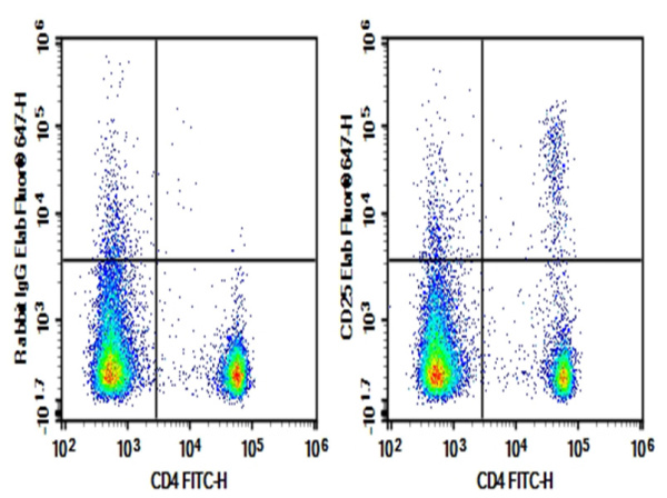 Purified Anti-Mouse CD25 Antibody[2E4] (AN006190P)