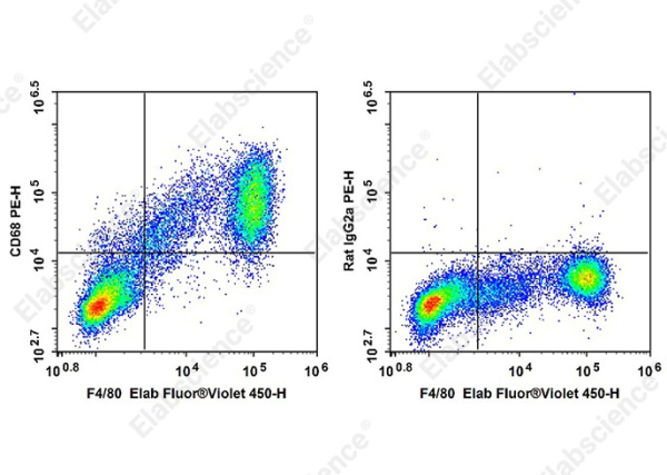 PE Anti-Mouse CD68 Antibody[FA-11] (AN00927D)