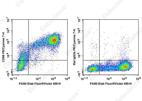 PE/Cyanine7 Anti-Mouse CD68 Antibody[FA-11] (AN00927H)