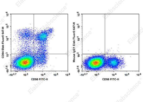 Elab Fluor® 647 Anti-Human CD94 Antibody[DX22] (E-AB-F1384M)