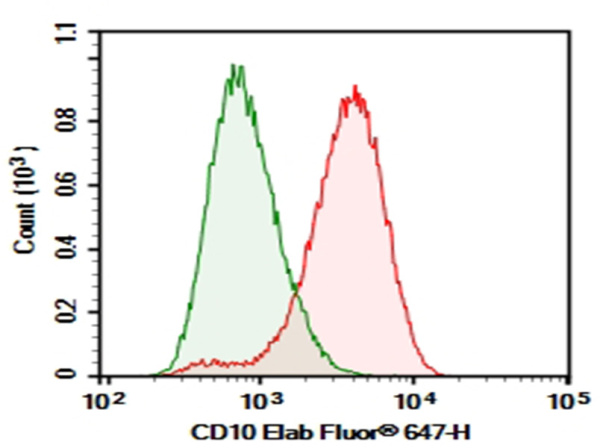 Purified Anti-Human CD10 Antibody[HI10a] (E-AB-F1141A)