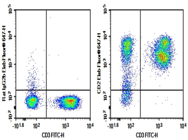 AF/LE Purified Anti-Human CD2 Antibody[Lo-CD2a] (AN007910)